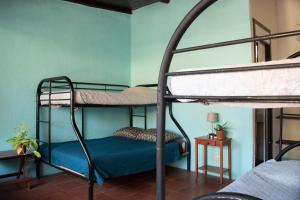 Voodi või voodid majutusasutuse Hostel La Botella de Leche - Tamarindo toas