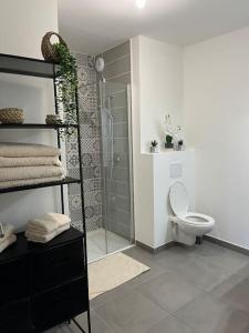 a bathroom with a shower and a toilet in it at Résidence Valberg L'Horizon in Péone