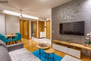 Kalman SPA&GYM في زلاتيبور: غرفة معيشة مع أريكة وتلفزيون