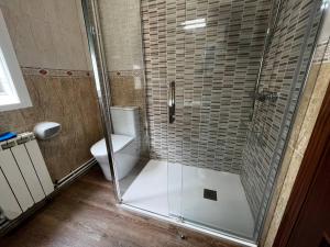 a bathroom with a glass shower with a toilet at Castiñeiras Street in Sarria