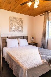 Larouche的住宿－Les Chalets Baie Cascouia, Nature & Expérience，一间卧室配有一张床和吊扇