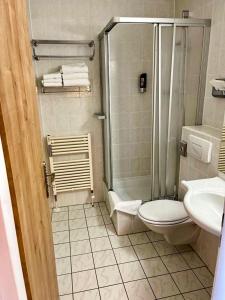 een badkamer met een douche, een toilet en een wastafel bij Apartmány Almberg in Philippsreut