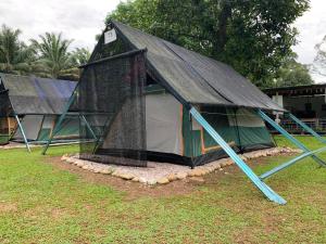 a tent that is sitting on the grass at Outworld Basecamp in Gopeng