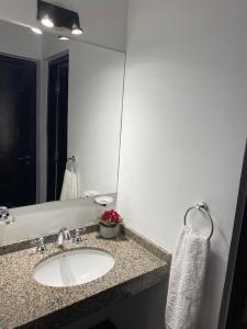 baño con lavabo y espejo grande en Departamento Céntrico II en Salta