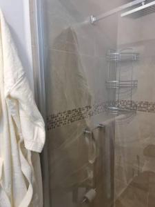 La salle de bains est pourvue d'une douche avec une porte en verre. dans l'établissement Se renta por día departamento en el Centro, à Mexico