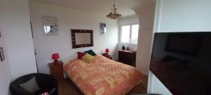 a bedroom with a bed and a mirror and a tv at Les villégiatures de Muse in Saint-Marcouf