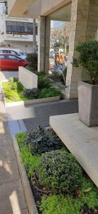 Zahrada ubytování 2 Poniente con 3 Norte HERMOSOS Departamentos