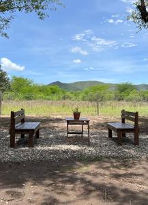 drie parkbanken en een tafel met een potplant bij Casa Azul in Santa Rosa de Calamuchita