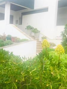 Billede fra billedgalleriet på Casinha do mar i Marinha Grande