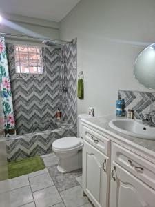 a bathroom with a toilet and a sink and a shower at Coco Rose Apartments in Soufrière