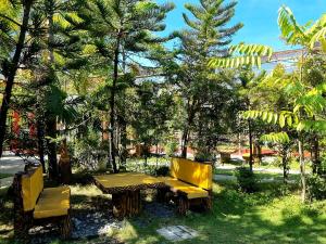 BugallonにあるBuddha Resort by Cocotelの木立公園のピクニックテーブルとベンチ