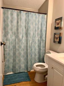 La salle de bains est pourvue de toilettes et d'un rideau de douche. dans l'établissement Rustic Relaxation Home! Spacious and Private, 