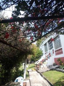 馬利納爾科的住宿－Casa Don Rubén，前面有一棵树的白色房子