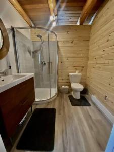 a bathroom with a shower and a toilet and a sink at Cozy log cottage in La Minerve