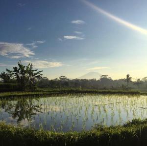 Fotografie z fotogalerie ubytování Rumah Semanggi v Ubudu