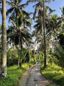 Fotografie z fotogalerie ubytování Rumah Semanggi v Ubudu