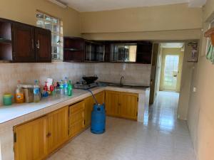 una cocina con armarios de madera y aspiradora azul en NR appartments, en Curepipe
