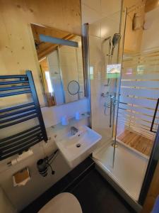 a bathroom with a sink and a shower and a toilet at Kreischberg Chalet in Murau in Murau