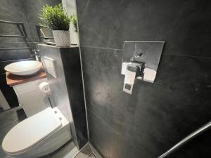 uma casa de banho com um WC e um lavatório em Tiny Wellness Apartment em Graz