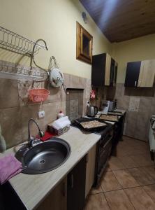 cocina con fregadero y encimera en Guest House Mandrivnyi Rooms&Apartments, en Yasinya