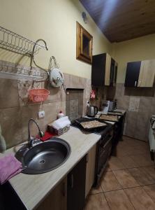 Kuchyň nebo kuchyňský kout v ubytování Guest House Mandrivnyi Rooms&Apartments