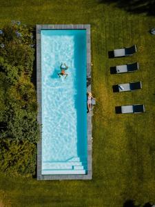 ステレンボッシュにあるKlein Welmoed Luxury Guest Houseのプールでの水泳2名分のオーバーヘッドビュー