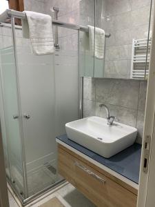een badkamer met een wastafel en een douche bij Alfa Toplu ulaşıma yakın Tam donanımlı şık daire in Istanbul