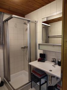 Kúpeľňa v ubytovaní Alpenblühn Appartements Tschagguns