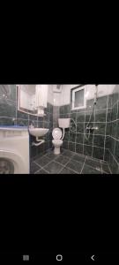 a bathroom with a toilet and a sink at Kamenovo sea in Budva