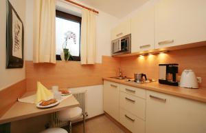 Kuchyňa alebo kuchynka v ubytovaní Appartement Lackner