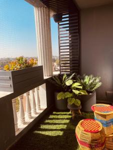 ジョードプルにあるWoodlands Apartment- Fully furnished Luxury Aptの鉢植えの植物と窓のあるバルコニー