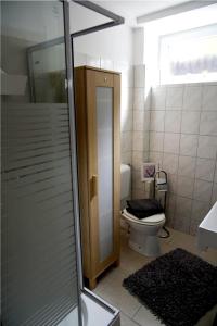 a bathroom with a toilet and a glass shower at Ferienwohnung Espenau in Espenau