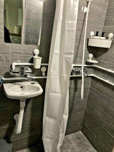 baño con lavabo y cortina de ducha en Apartman Djokic 4 Studio en Požarevac