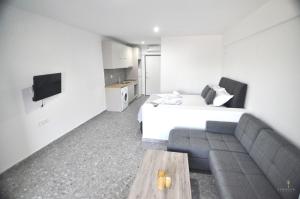 Televízia a/alebo spoločenská miestnosť v ubytovaní Zennova Sirene Luxury Studios