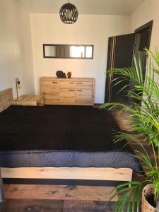 a bedroom with a bed and a dresser and plants at Copper Apartment Free Parking in Wrocław