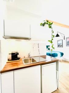 a kitchen with a sink and a counter top at Studio ideal deplacement pro tourisme et mariage Parking gratuit in Chapareillan