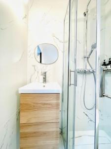 ein Bad mit einem Waschbecken und einer Dusche in der Unterkunft Studio ideal deplacement pro tourisme et mariage Parking gratuit in Chapareillan