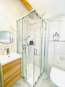 a bathroom with a shower and a toilet and a sink at Studio ideal deplacement pro tourisme et mariage Parking gratuit in Chapareillan