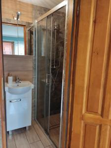 a bathroom with a shower and a sink and a shower at Pokoje i apartamenty u Bartka in Szczawnica