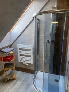 a bathroom with a glass shower in a attic at Apartamenty Przy Chacie na Głowie in Miłków