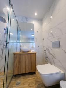 a bathroom with a toilet and a sink and a shower at Old olive tree cottage in Áyioi Apóstoloi