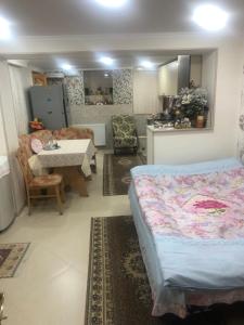 Kuchyň nebo kuchyňský kout v ubytování Hostel Temuri
