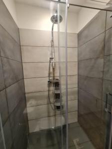 a shower with a glass door in a bathroom at Maison Bergerie Glabanel in Lapalme