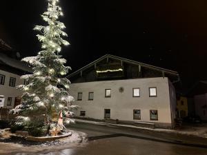 a christmas tree in front of a building at StuWip alps Appartement Sonnenstein in Fulpmes