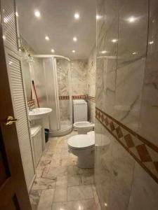 a bathroom with a toilet and a shower and a sink at acogedor apartamento placentines in Seville