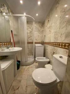 a bathroom with a toilet and a sink and a shower at acogedor apartamento placentines in Seville