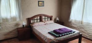1 dormitorio con 1 cama y 2 mesitas de noche con 2 lámparas en Cabaña del Alto Tupungato en Tupungato