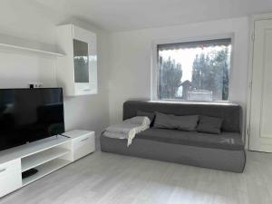 a living room with a couch and a flat screen tv at Haus Balke in Hatzfeld