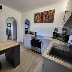uma cozinha com um lavatório e um fogão forno superior em Ferienwohnung NR3 em Grossräschen