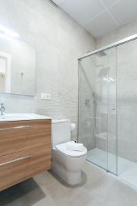 uma casa de banho com um WC e uma cabina de duche em vidro. em Tu casa en un rinconcito del centro em Sevilha